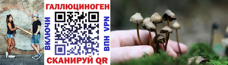 Псилоцибиновые грибы Cubensis  Купить закладки  Липки 